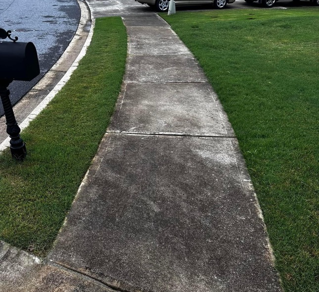 sidewalk cleaning