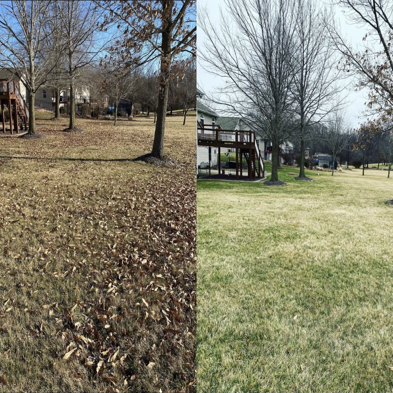 yard cleanup
