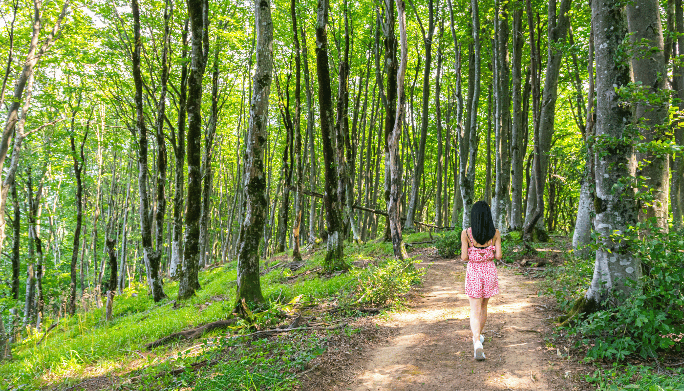 A woman in a pink dress is walking down a path in the woods.
