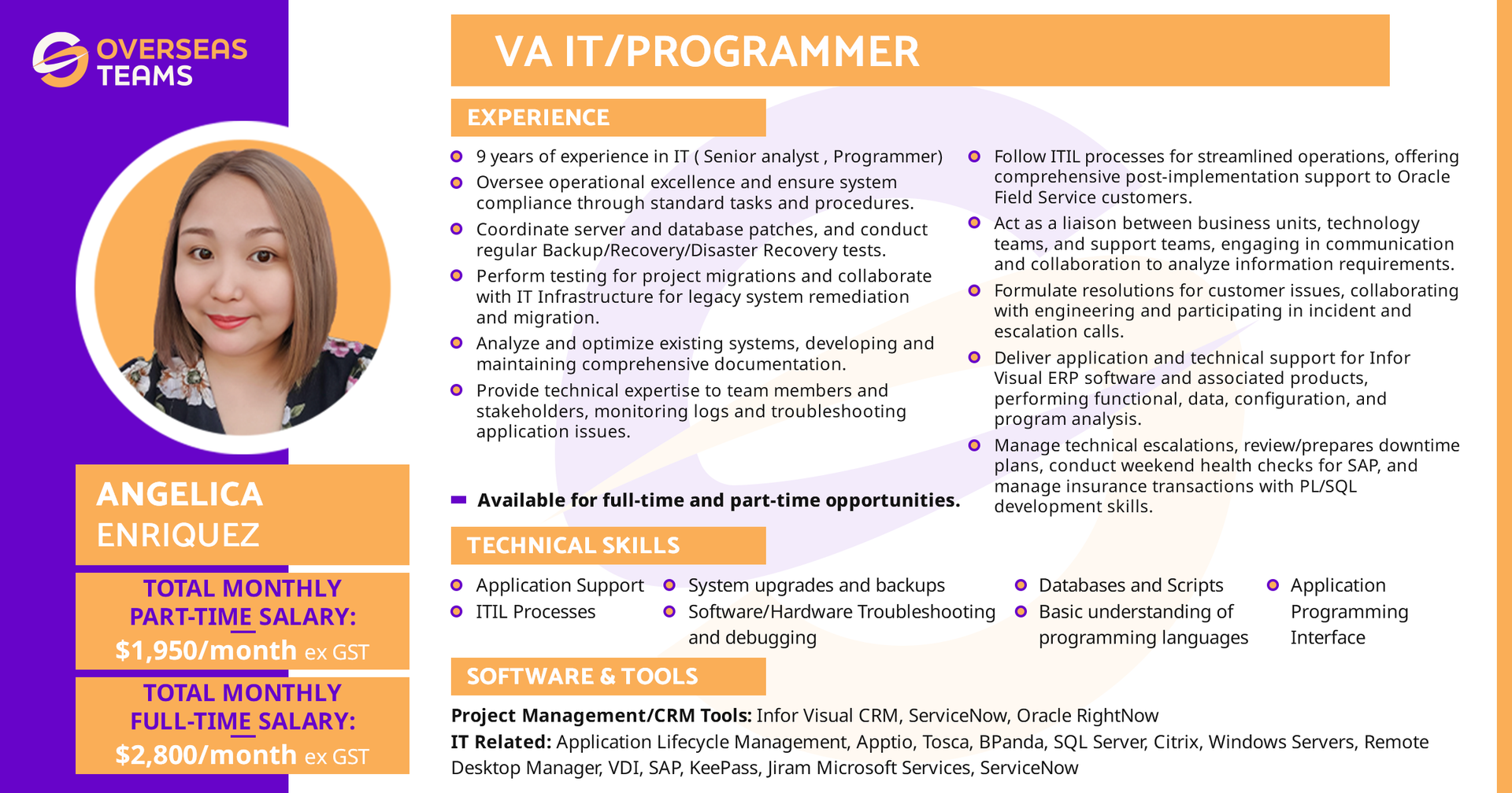 Overseasteams virtual assistant for information technology and programmer role