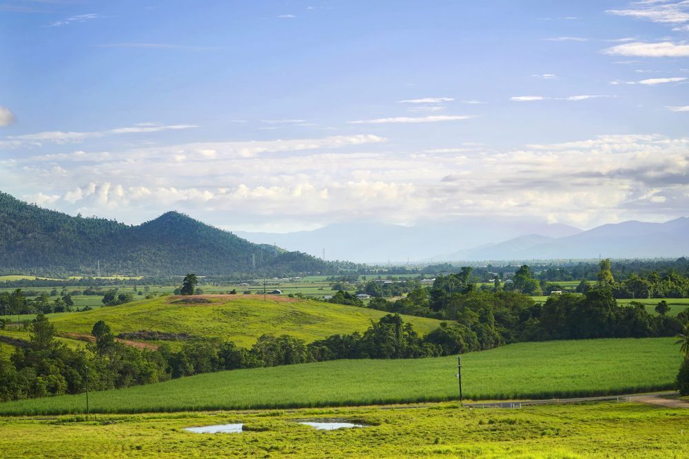 Lush Sprawling Fields of Tully — Gardeners in Tully, QLD
