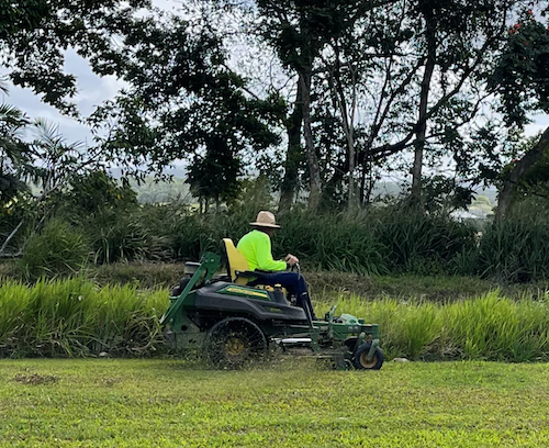 Man Pushing a Lawn Mower — Gardeners in Cardwell, QLD