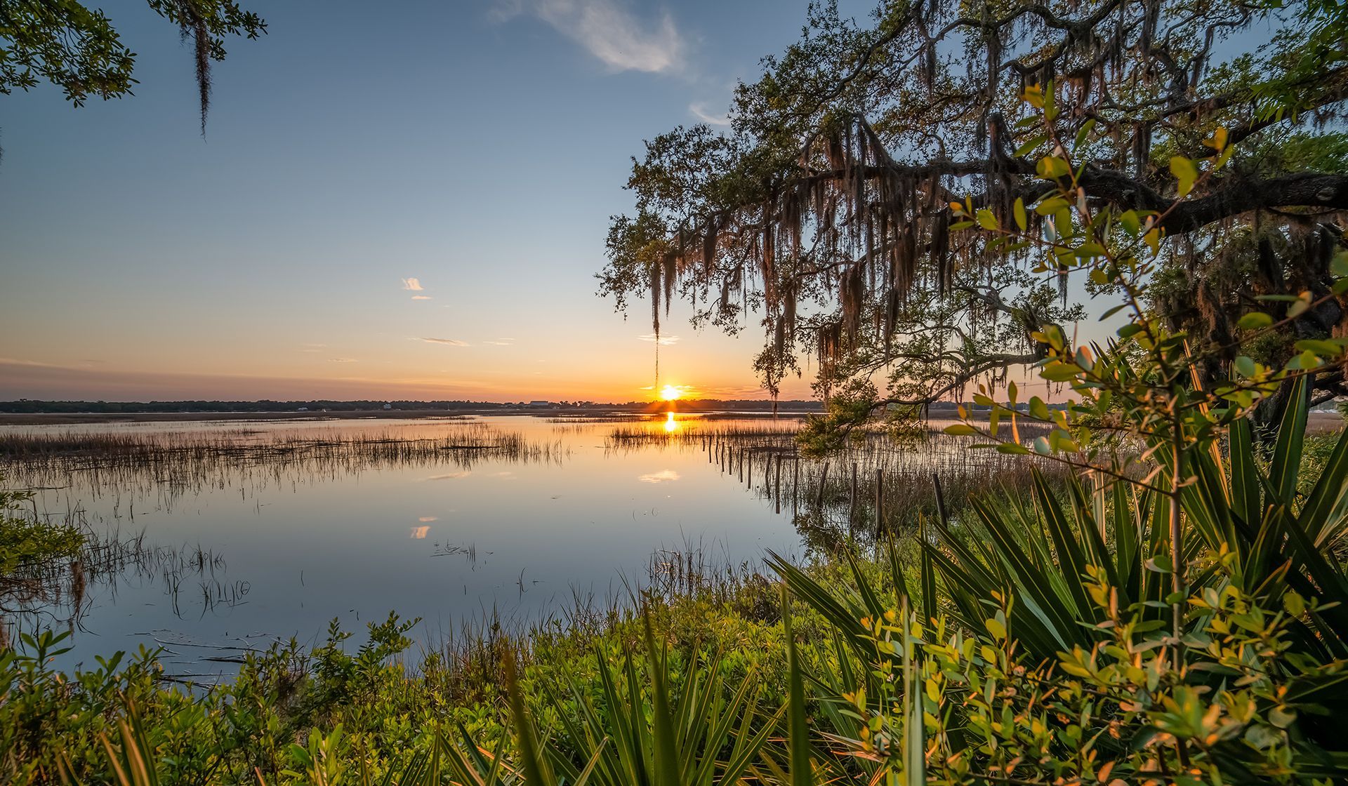 CullerMcAlhany Funeral HomeFuneral Cremation in North, SC(01)