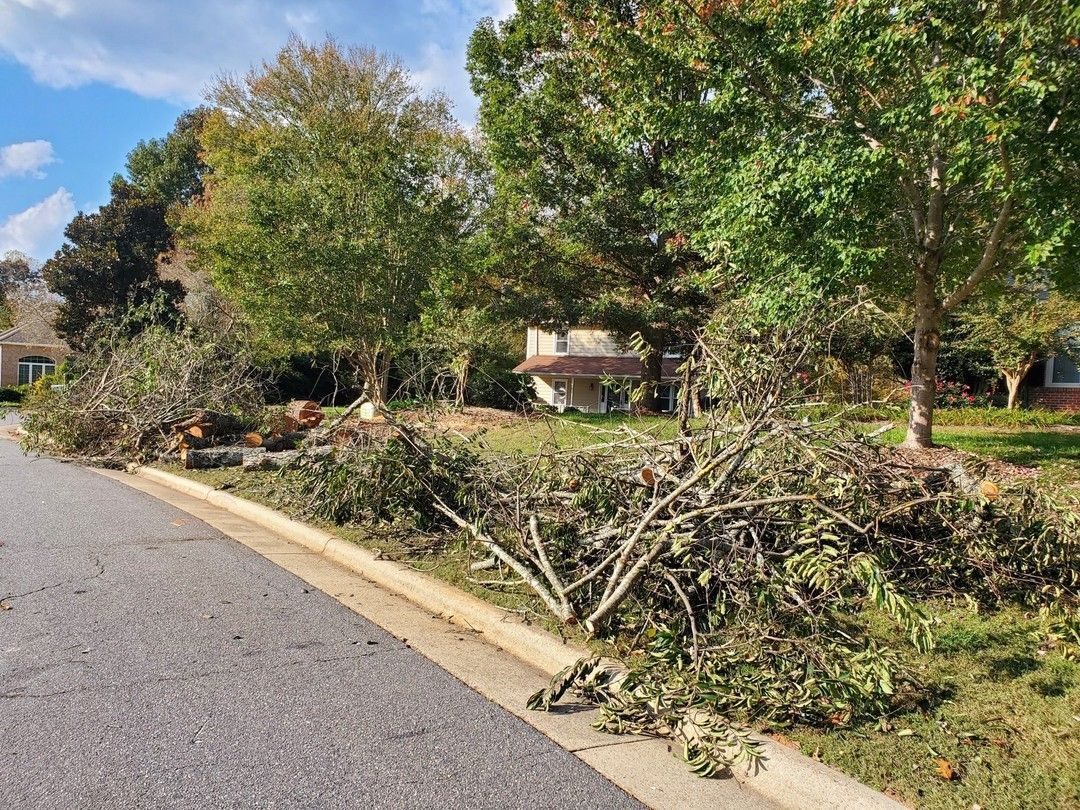 Piles of tree branches and debris line a suburban street beside a curb and grassy yard.