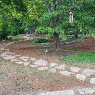 Curved stone path through a leafy garden with a bird feeder and pedestal birdbath under a large tree