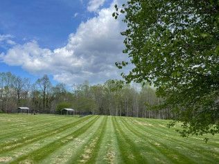 A lush green field with trees in the background and a blue sky with clouds.