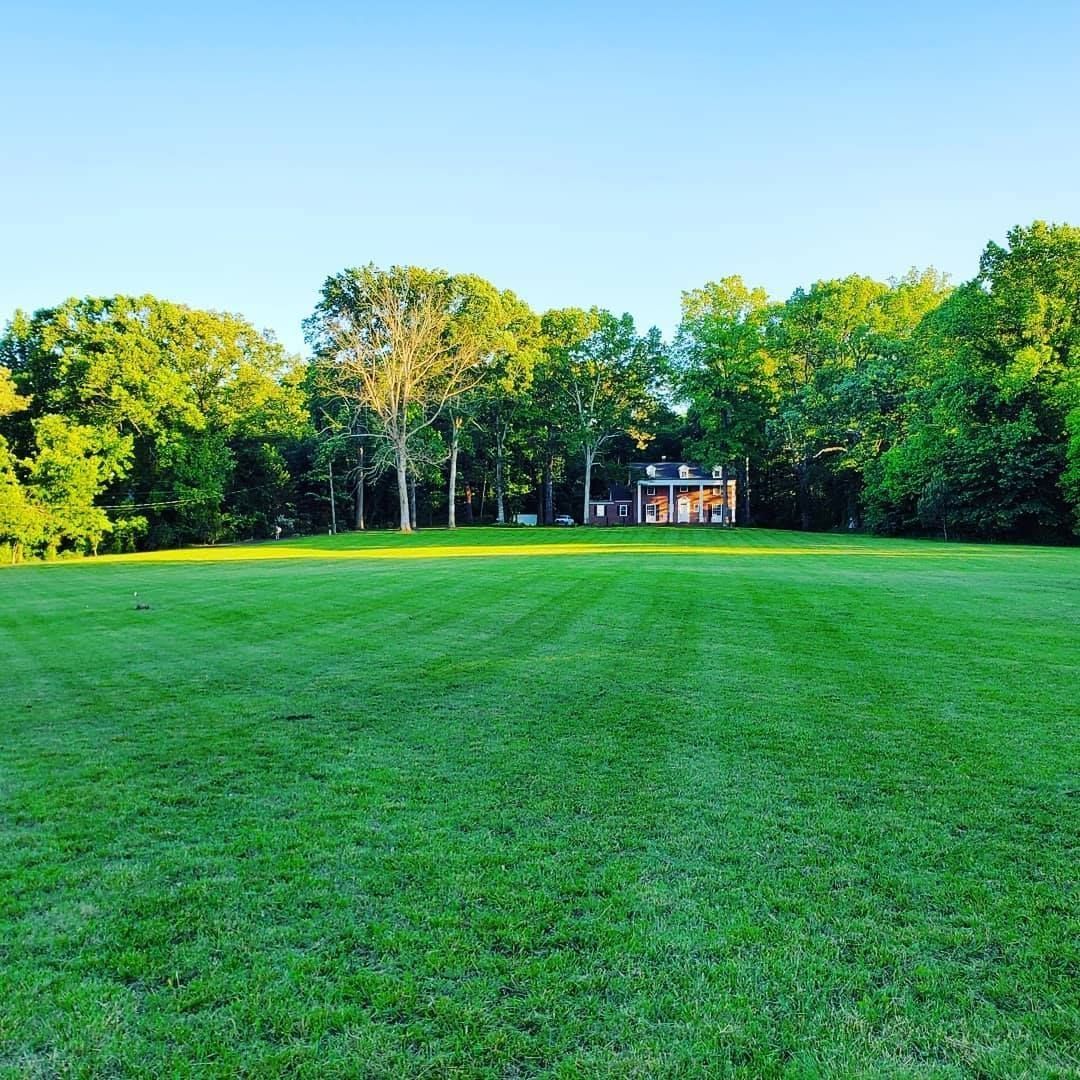 A lush green field with a house in the background
