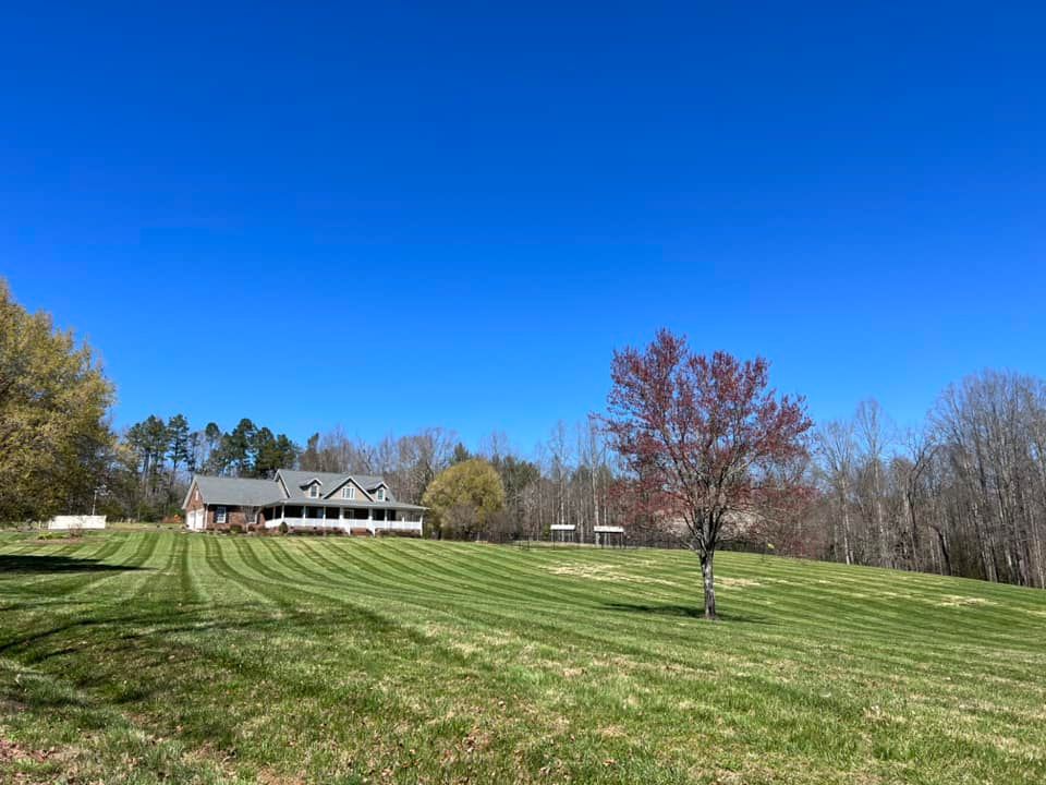 A house on a grassy hill under a bright blue sky with a lone tree in the foreground.