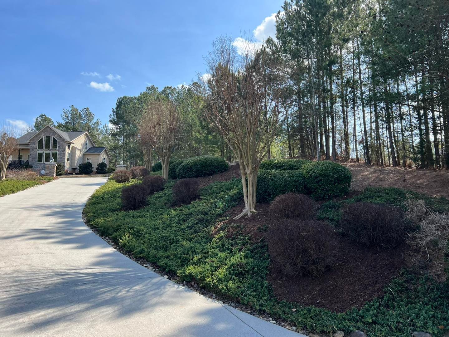 Curved driveway beside landscaped shrubs and tall trees leading to a large house under a blue sky