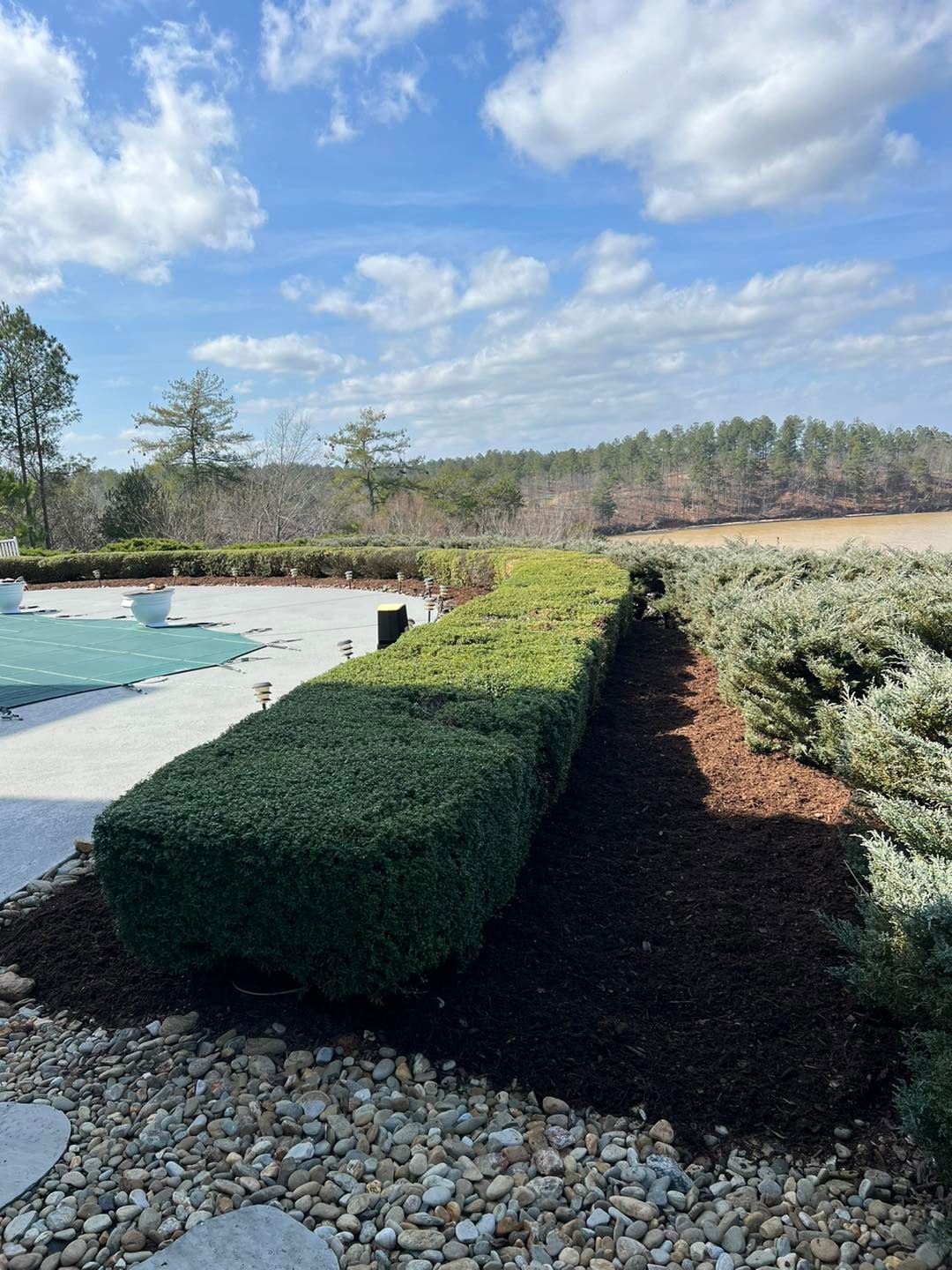 Landscaped garden with trimmed hedges, poolside patio, and cloudy blue sky beyond trees
