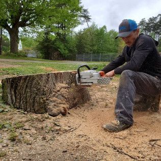 Man using a chainsaw to cut a tree stump in a dirt yard near a fenced, leafy area