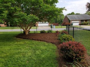 A lush green yard with a chain link fence and a tree.