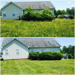 Before-and-after lawn photo: overgrown yard with yellow flowers, then neatly mowed green grass beside a house