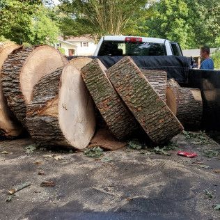 Large cut tree logs piled on a driveway beside a white pickup truck, with two people in the background