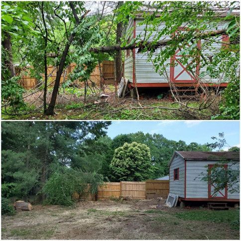 Before-and-after yard with overgrown trees and brush beside a small white shed, then a cleared yard with a wooden fence.