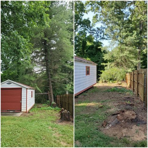 Yard with a red shed, white house siding, tall trees, grass, and a fenced dirt path between them.