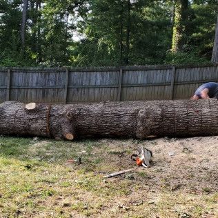 Large fallen tree trunk in a backyard with a person working beside it and a chainsaw on the grass.