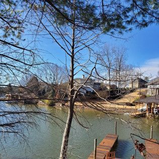Leafless trees over a calm lakeside with docks and houses under a blue sky