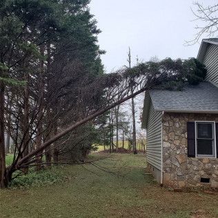 A fallen tree leans across a grassy yard beside a stone-and-siding house on a cloudy day