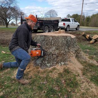 Man using a chainsaw to cut a large tree stump in a yard, with trucks parked behind him