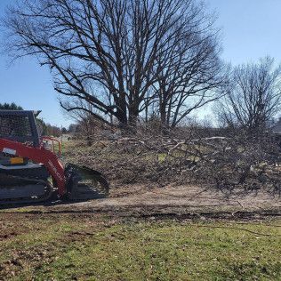 A red excavator clears brush beside a large leafless tree on a sunny day.