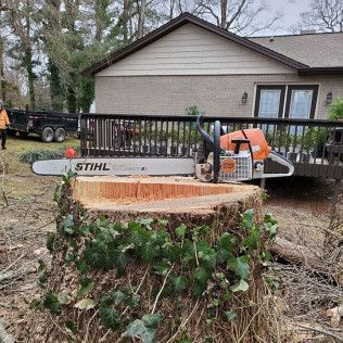 Orange chainsaw resting on a freshly cut tree stump in a yard, with a house and fence in the background