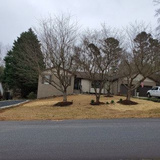Suburban house with leafless trees and a yellow-brown lawn on an overcast day