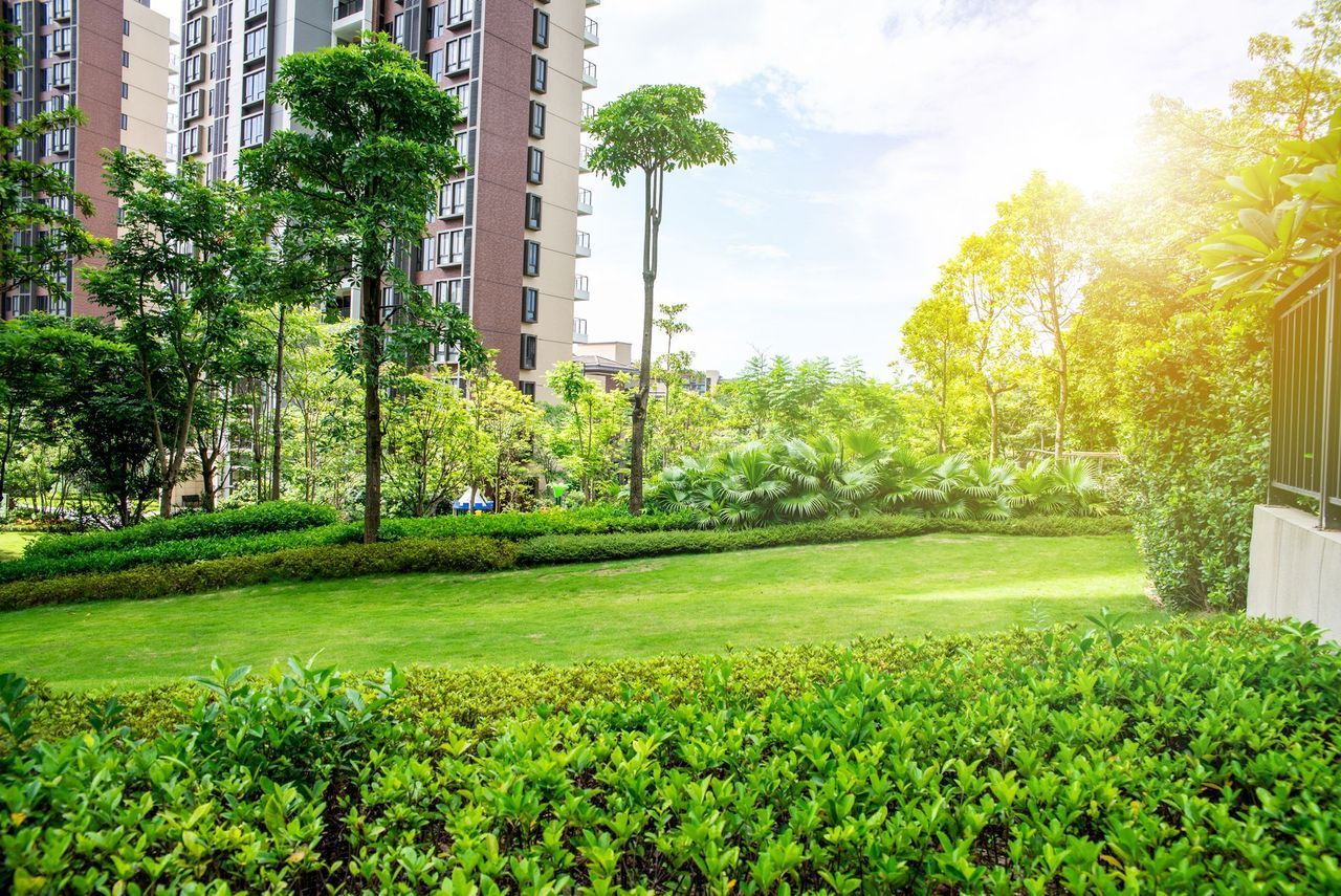Sunlit apartment courtyard with green lawn, trees, and tall buildings in the background