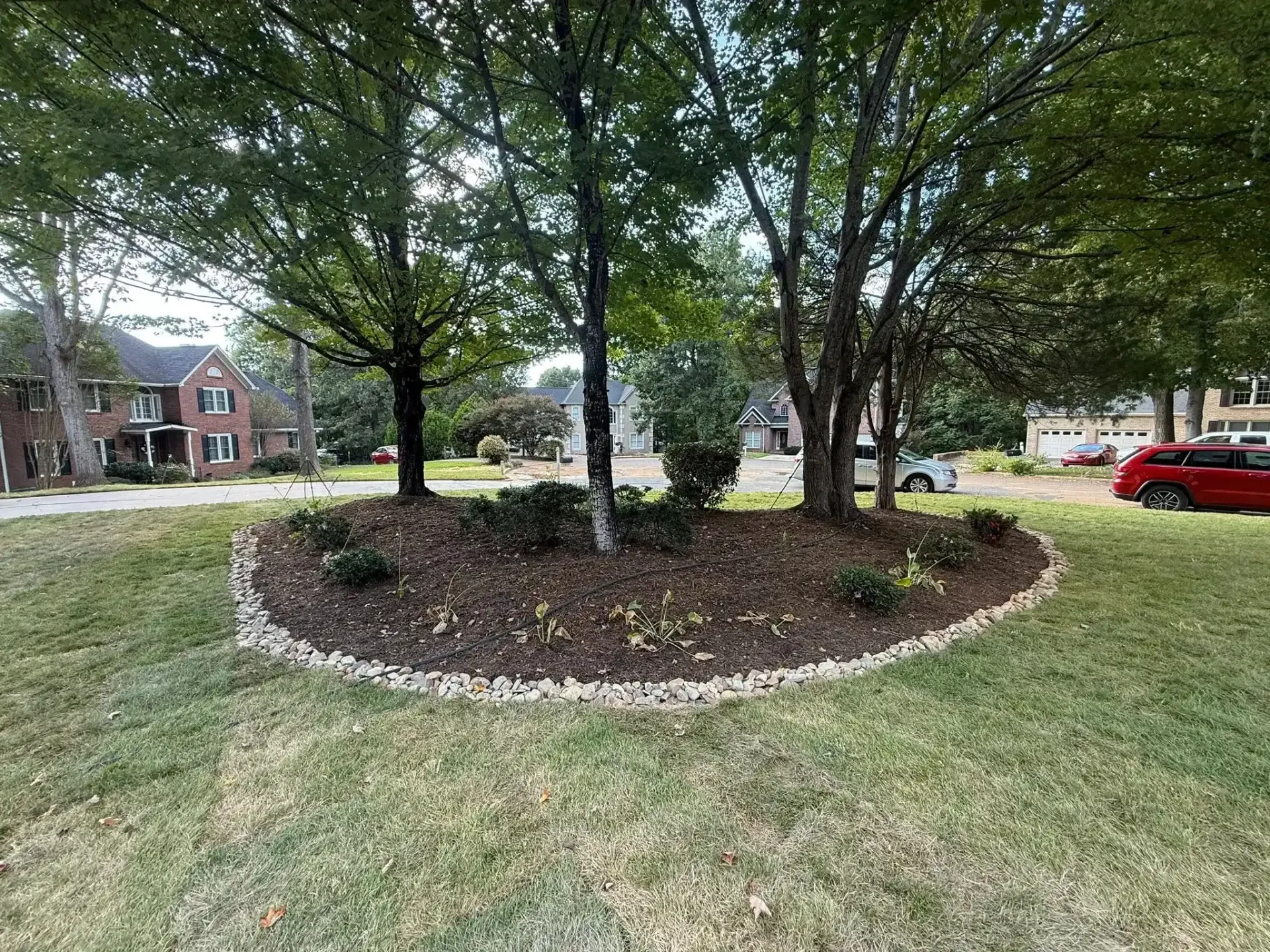 Circular mulch bed with trees in a grassy neighborhood park, with houses and a red car in the background.