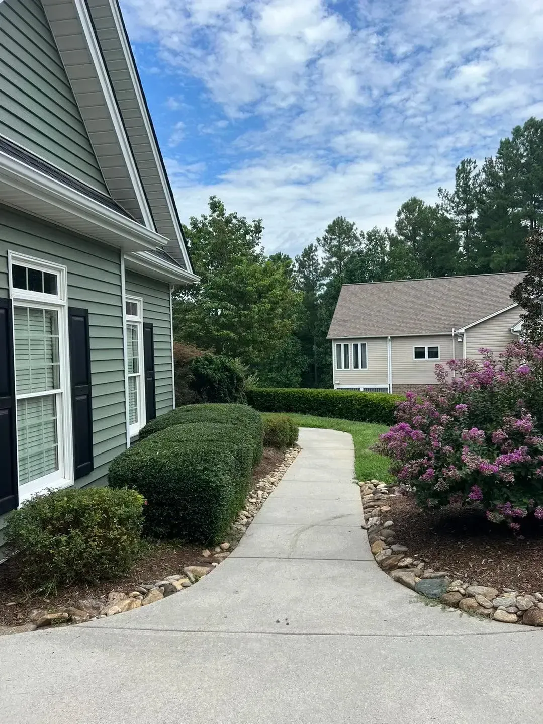 Curved concrete walkway beside a gray house, lined with trimmed hedges and pink flowering shrubs.