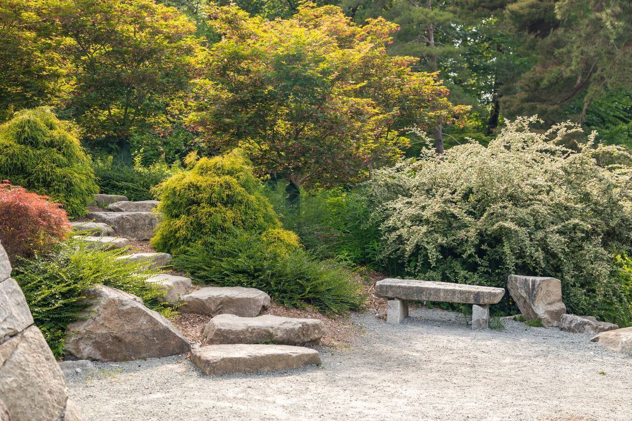 Stone steps and a bench in a lush garden with yellow and green shrubs and gravel ground