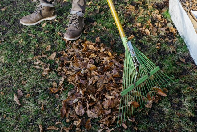 Person raking wet leaves on grass with a green rake and yellow handle