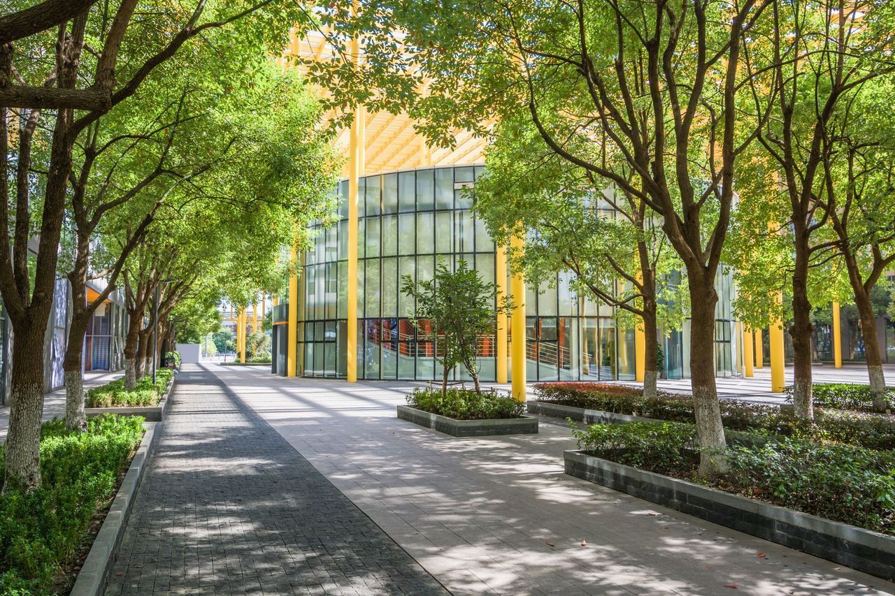 Tree-lined walkway leading to a modern glass building with yellow columns and landscaped planters