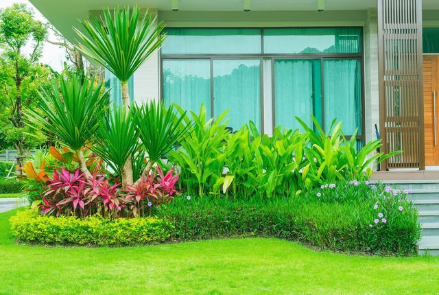 Lush green garden with tropical plants and pink flowers in front of a modern house.