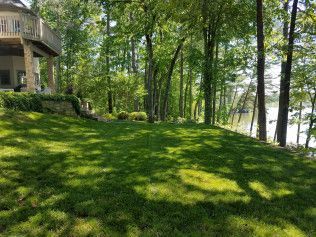 A lush green lawn with trees and a house in the background.