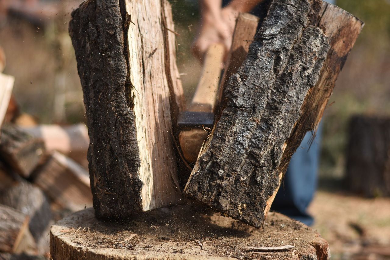 Three split logs standing upright on a chopping block outdoors, with a blurred person in the background