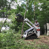 brush removal