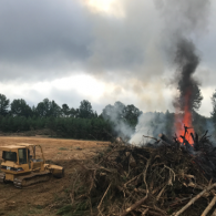 burning brushpile