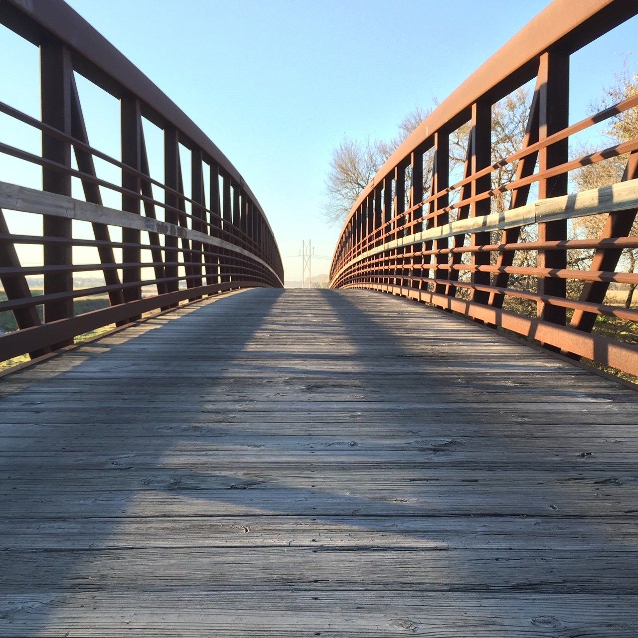 Bike Path Photo