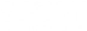 A white background with a few lines on it