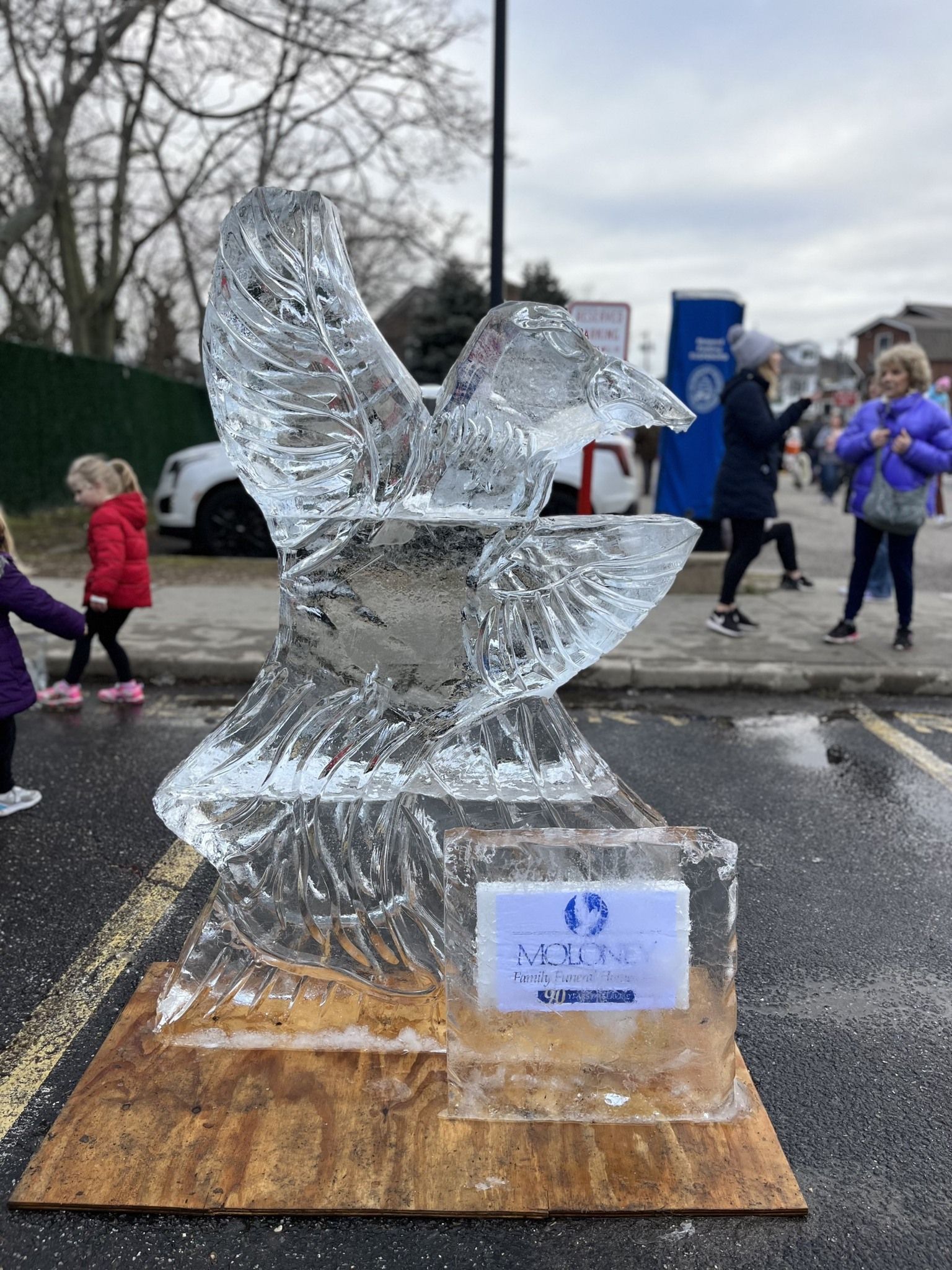 Port Jefferson Ice Festival Long Island, NY