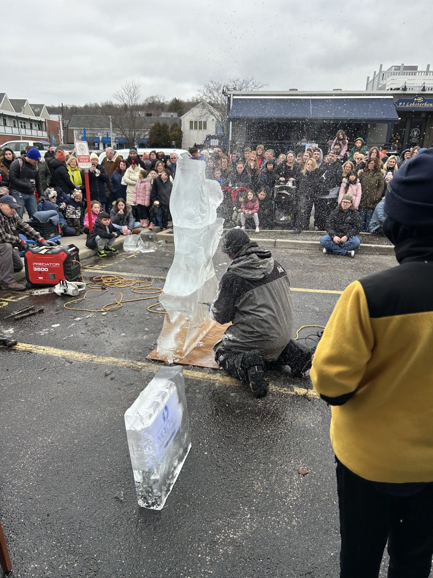 Port Jefferson Ice Festival Long Island, NY