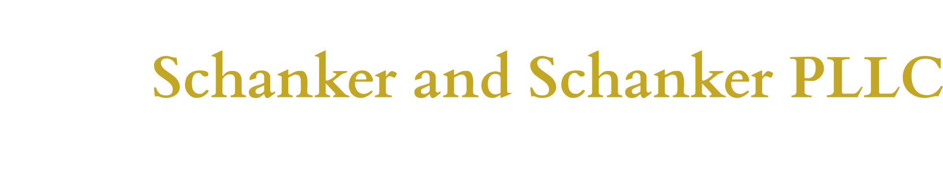 Schanker and Schanker PLLC