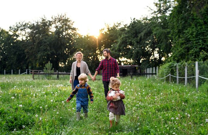 Family walking through a sunlit meadow with wildflowers and a fence in the background