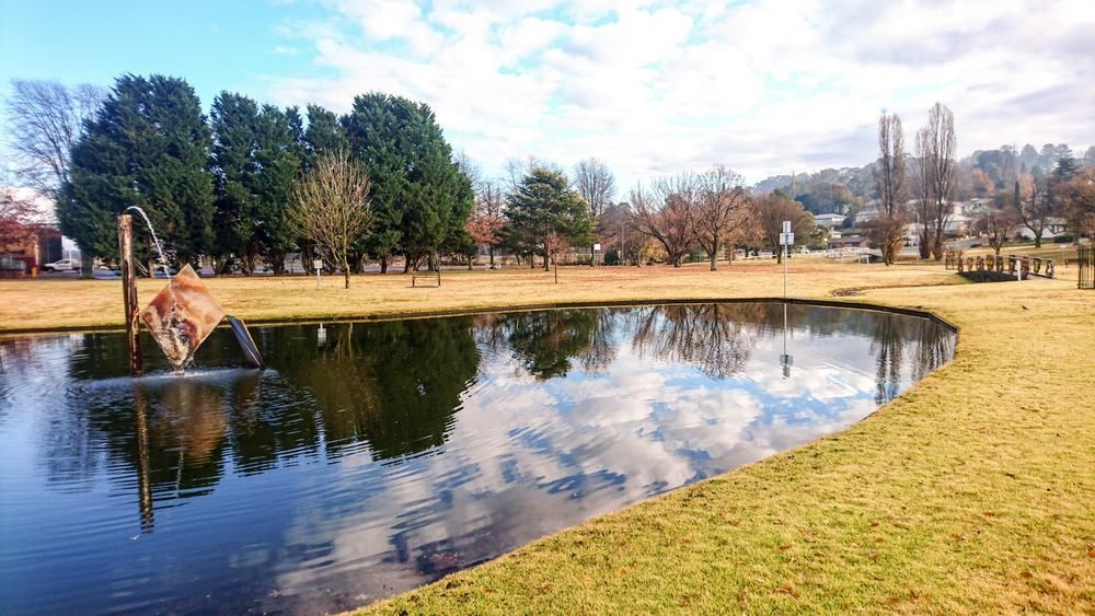 There Is A Pond In The Middle Of A Park With Trees In The Background — Caterpillar Tree Services In Barraba, NSW