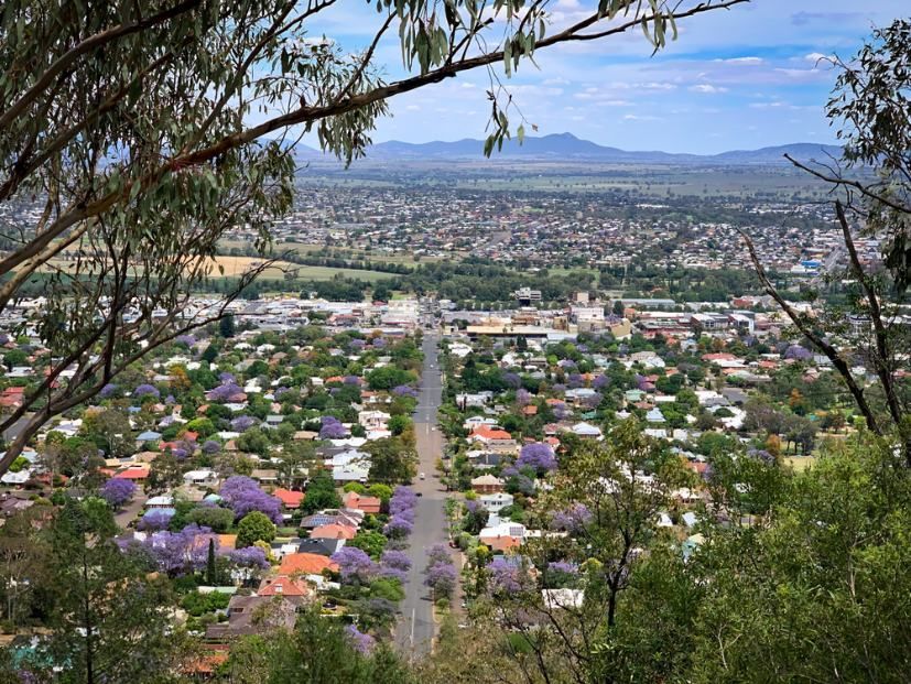 A View Of A City From A Hill With Trees — Caterpillar Tree Services In Tamworth, NSW