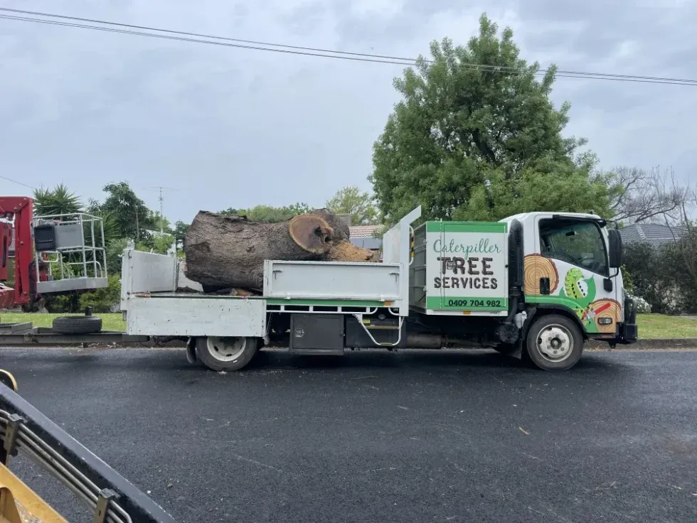 A Truck With A Large Log In The Back Is Parked On The Side Of The Road — Caterpillar Tree Services In Daruka, NSW
