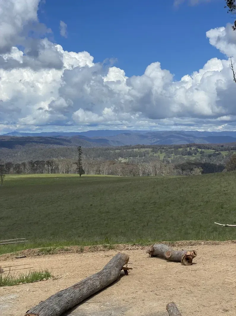 A Log Is Laying On The Ground In Front Of A Field With Mountains In The Background — Caterpillar Tree Services In Daruka, NSW