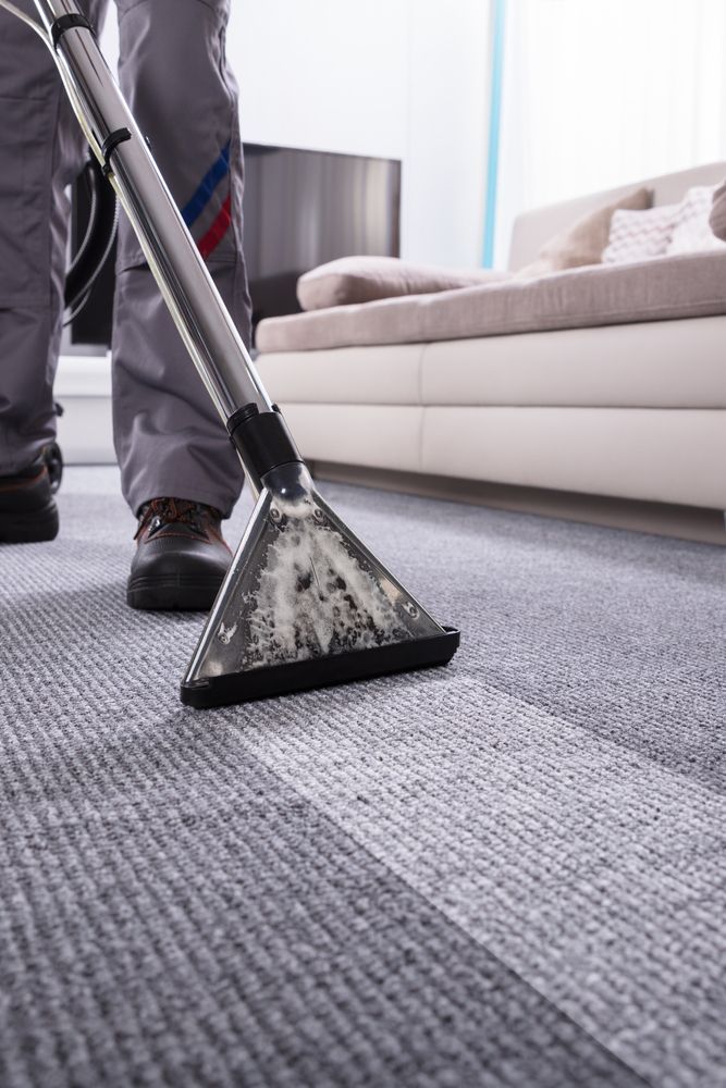 Person Vacuuming a Gray Carpet in A Living Room with A Steam Cleaner — Broadbeach Carpet Cleaning In Broadbeach, QLD