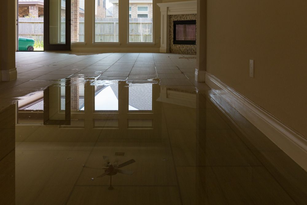 Flooded Living Room with Water Reflecting Windows and Furniture — Broadbeach Carpet Cleaning In Broadbeach, QLD